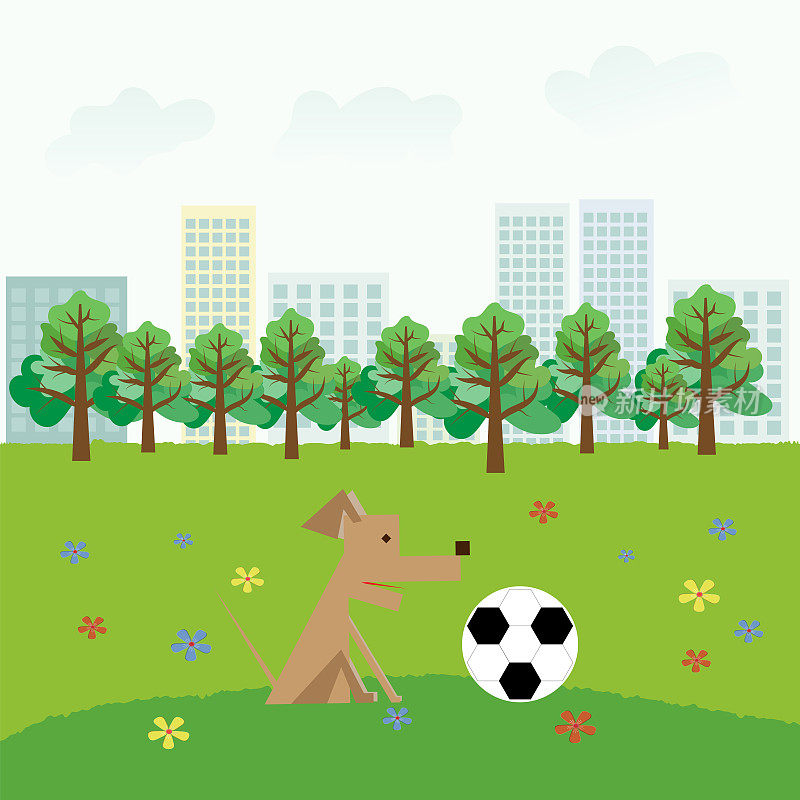 一只狗在城市公园里玩球