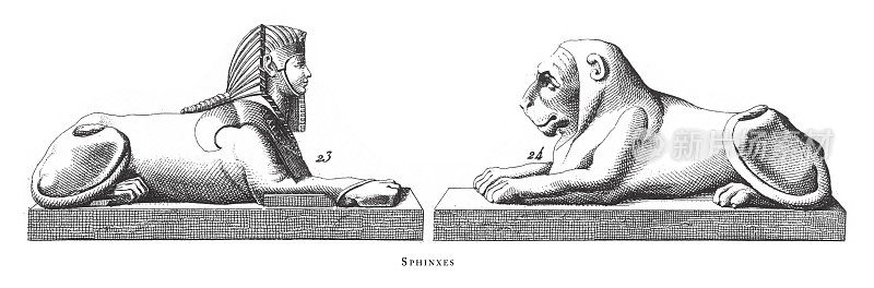 狮身人面像;宗教和神话人物的埃及雕刻古董插图，出版1851年