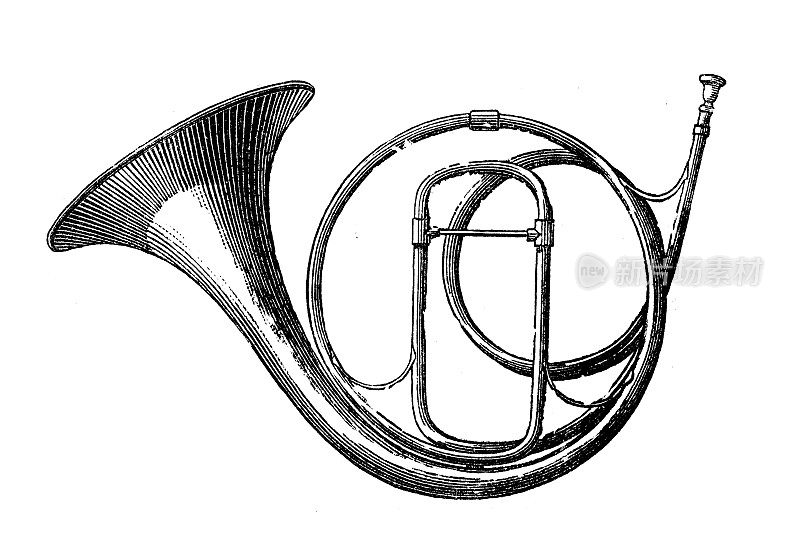 乐器的古董插图:圆号