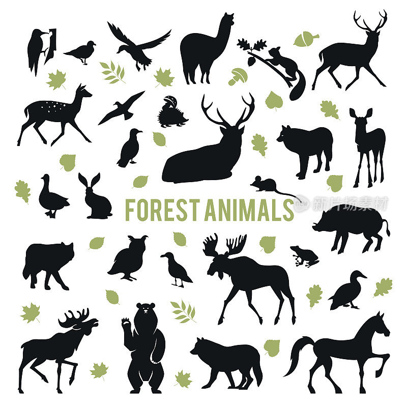 森林动物的剪影。