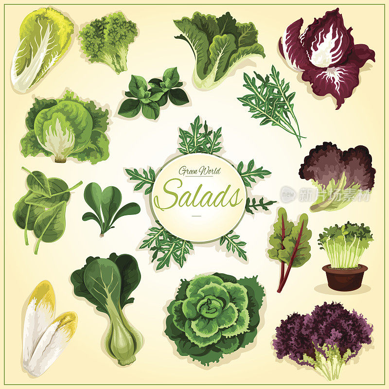 沙拉叶和蔬菜的海报