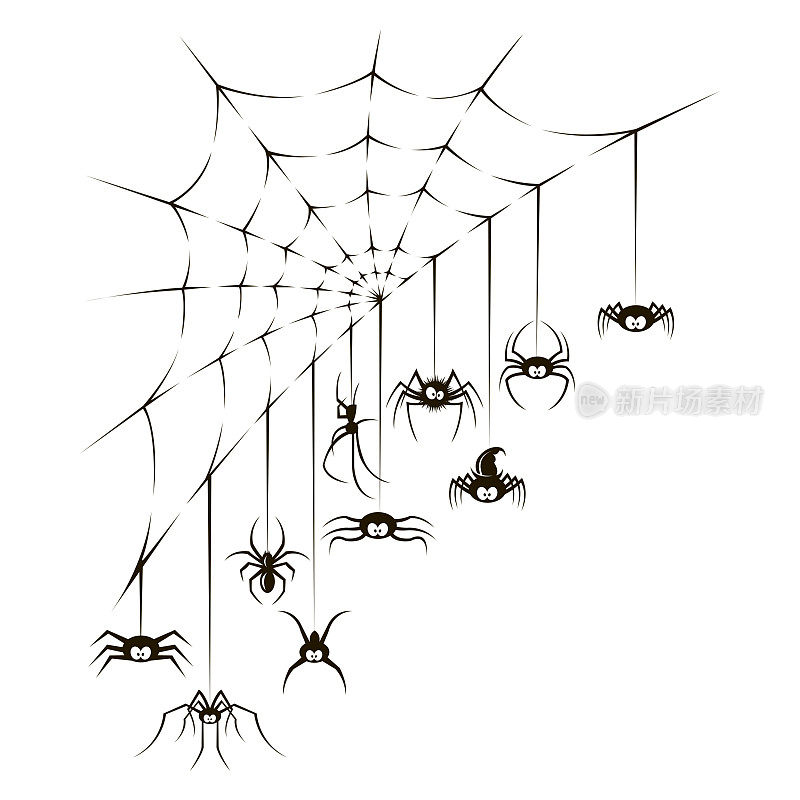 蜘蛛和网络