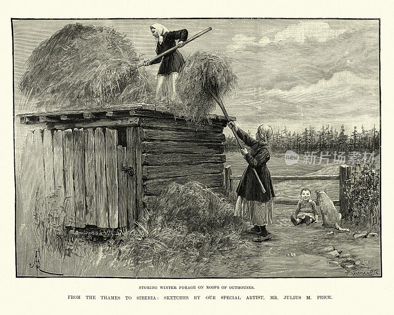 19世纪90年代，俄罗斯西伯利亚，妇女在屋外的屋顶上储存冬季饲料
