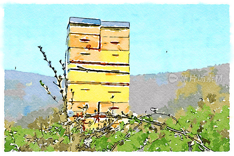 现代水彩画蜂巢在风景
