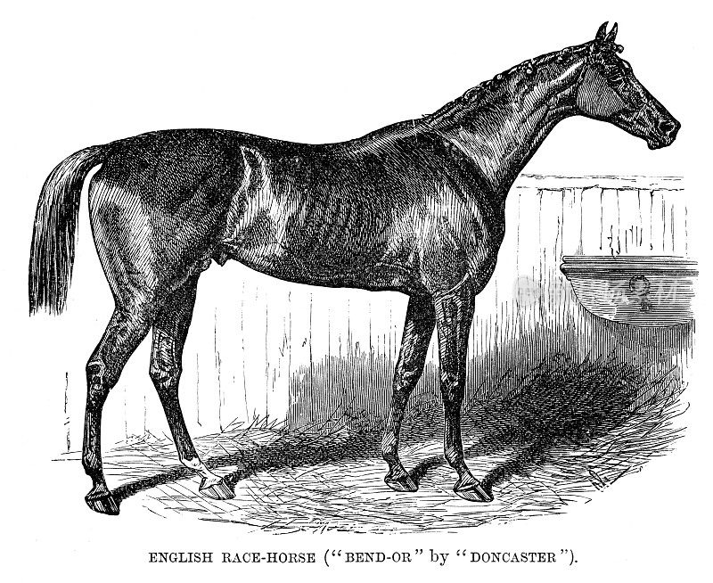 英国赛马雕刻1896年