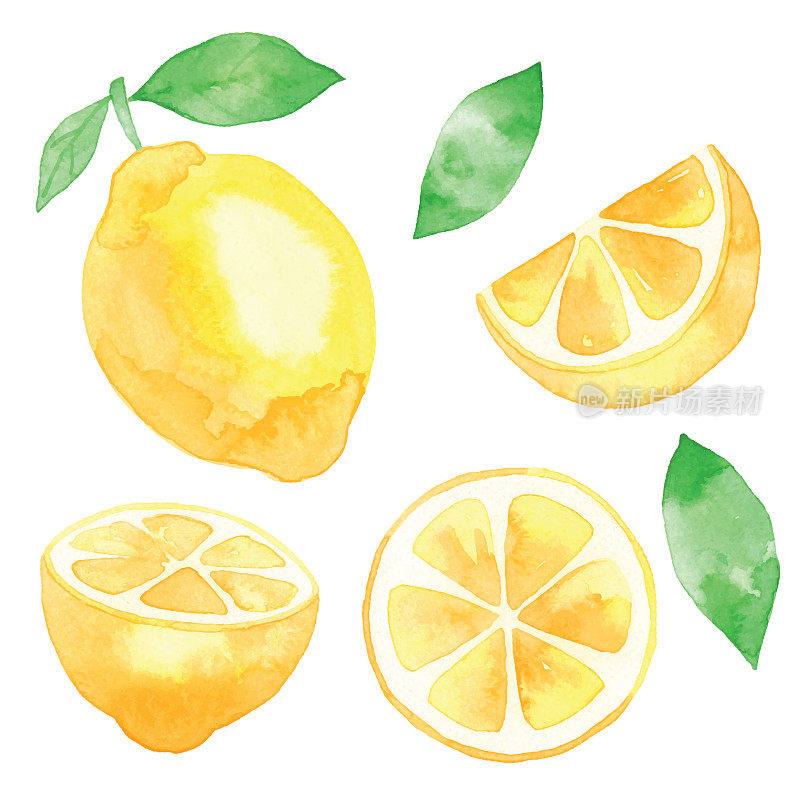 水彩新鲜柠檬