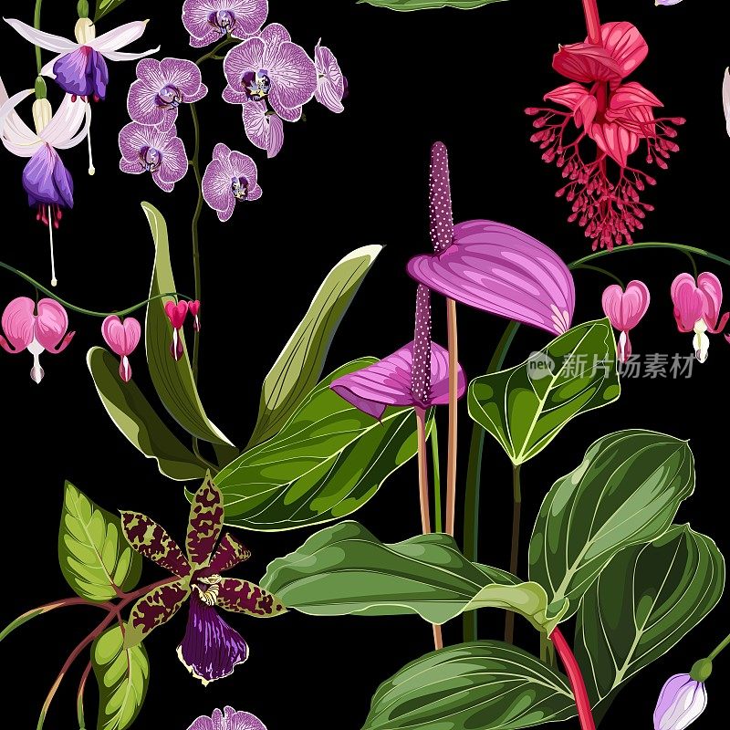 兰花,花烛属植物的花。无缝的花图案与紫罗兰粉红色光泽的花和棕榈叶。黑色背景上的热带图案。