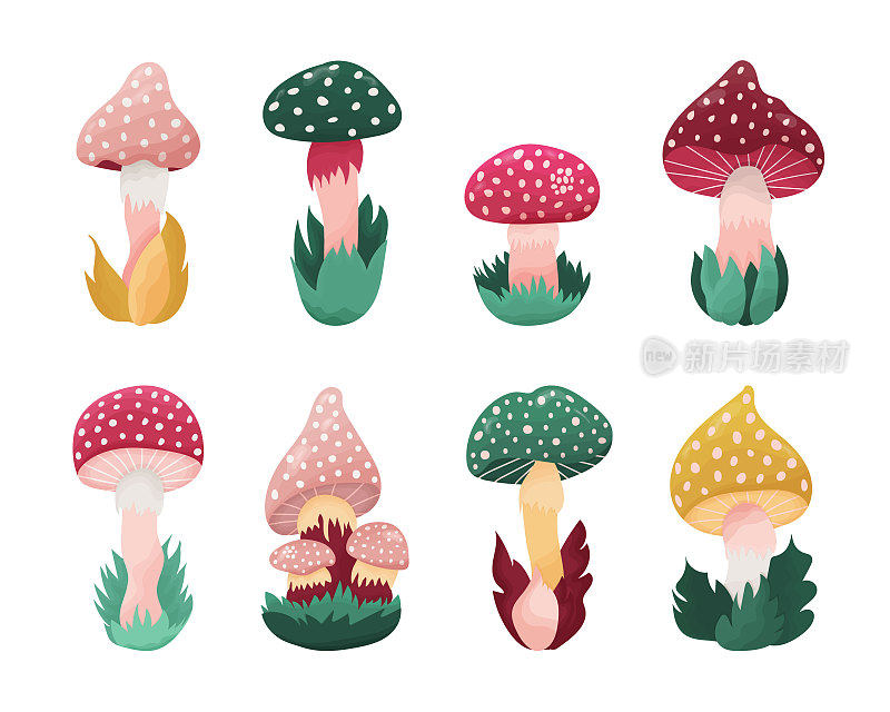手绘集各种蘑菇在草地上，可爱的飞木耳在卡通风格。