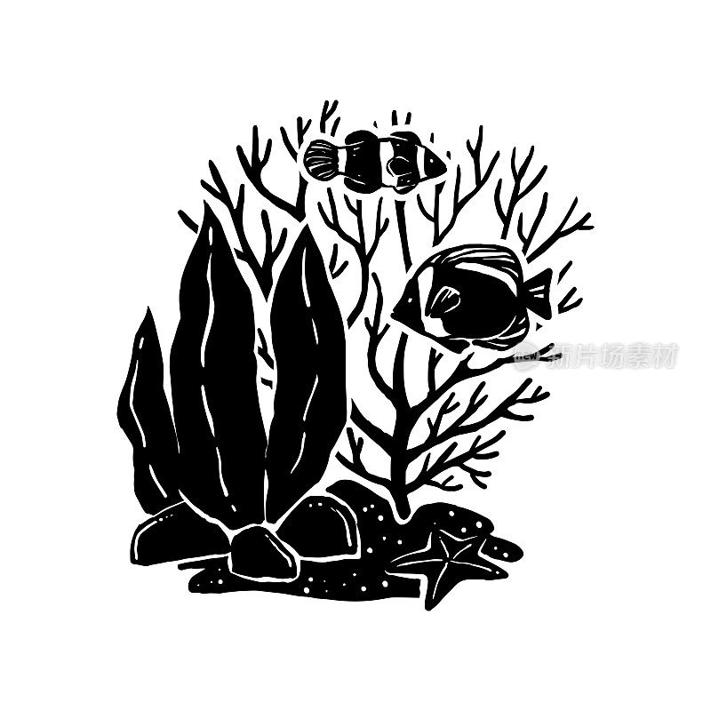 鱼、海星、海藻和珊瑚的黑白剪影。自然手绘元素的设计。水族馆用水下植物和鱼类