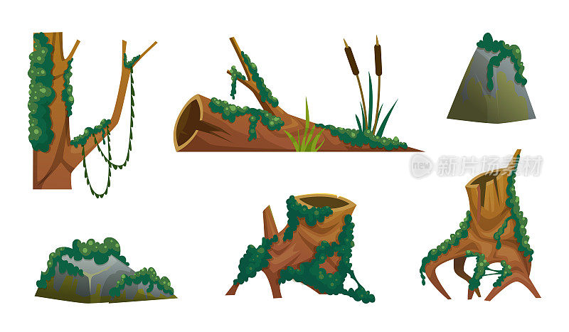 苔藓。卡通绿木野生植物真菌和苔藓游戏资产确切的矢量图片集
