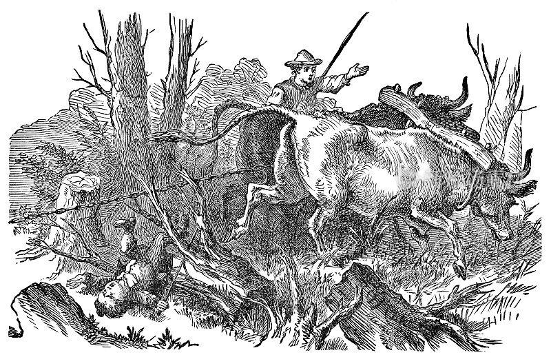 小本(本尼)在伊利亚・凯洛格的《榆树岛的拼字游戏》中被牛踢了一脚――19世纪