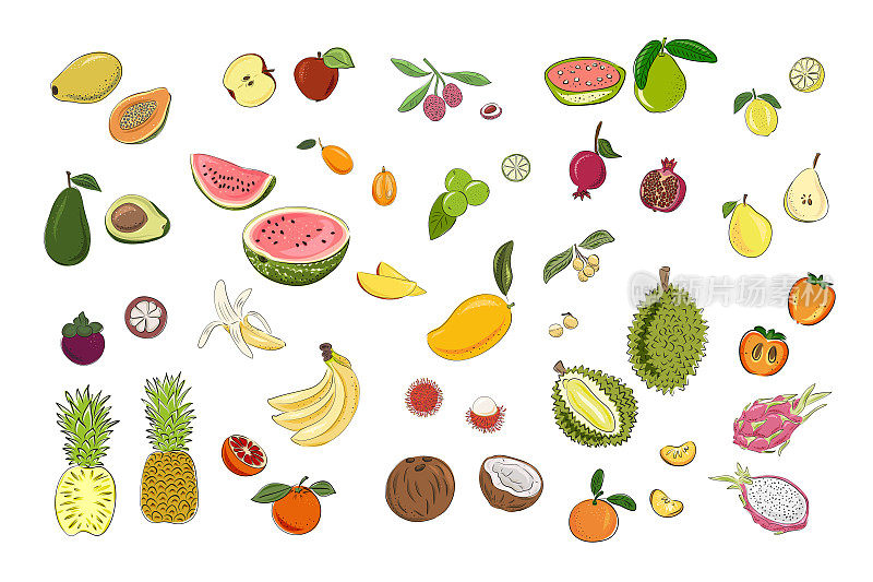 大水果。鲜亮多彩的梨、苹果、柠檬、酸橙、西瓜、橙子、榴莲、火龙果、菠萝、芒果、山竹、红毛丹、香蕉、石榴、柿子、鳄梨、木瓜、番石榴