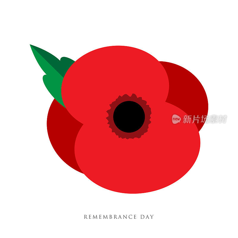 荣军纪念日。罂粟的吸引力。在新西兰、澳大利亚、加拿大和英国，阵亡将士纪念日、阵亡将士纪念日、澳新军团日的鲜花。