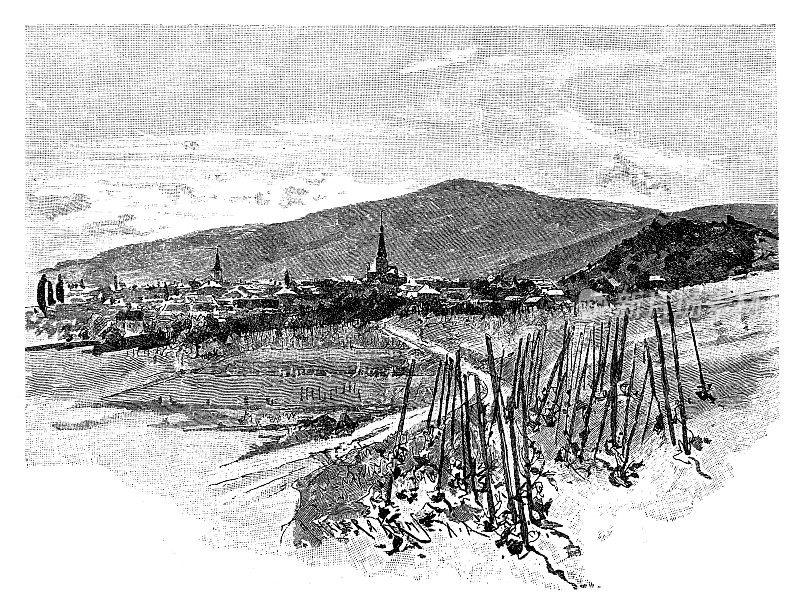 德国巴登,19世纪