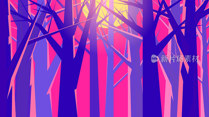 多层次的彩色插图的森林，以太阳为背景。