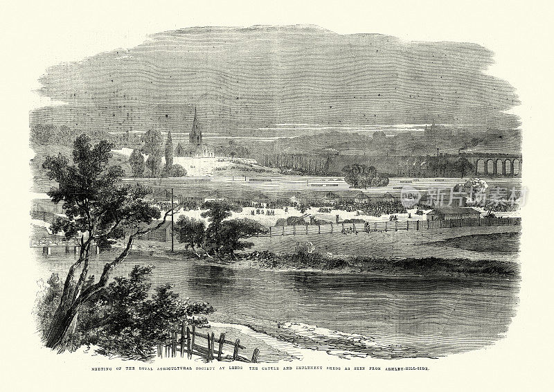 19世纪60年代，英国皇家农业学会在利兹举行会议，在阿姆利山举行