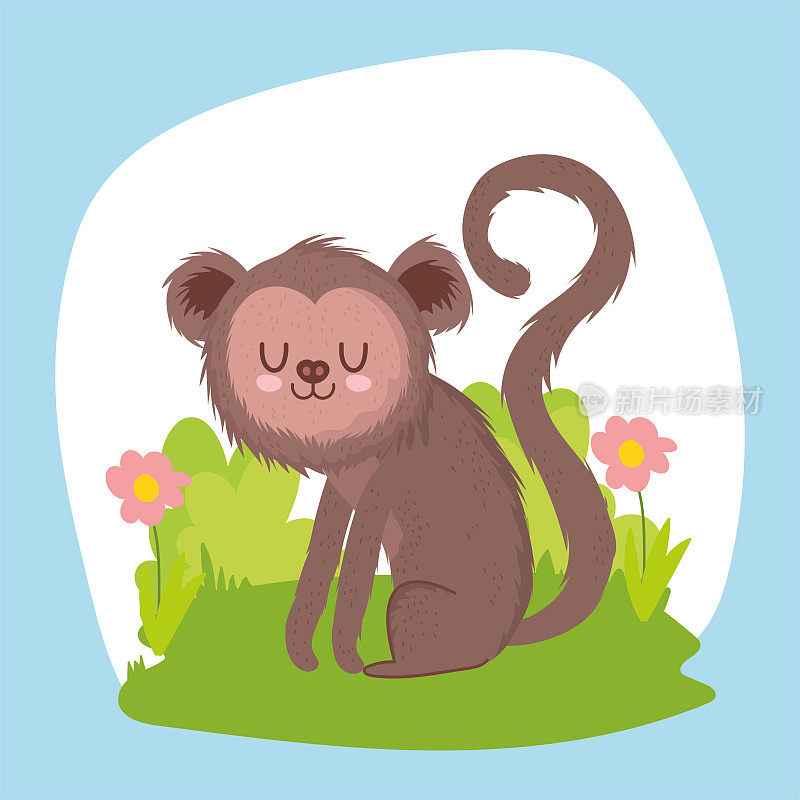 小猴子在草地上