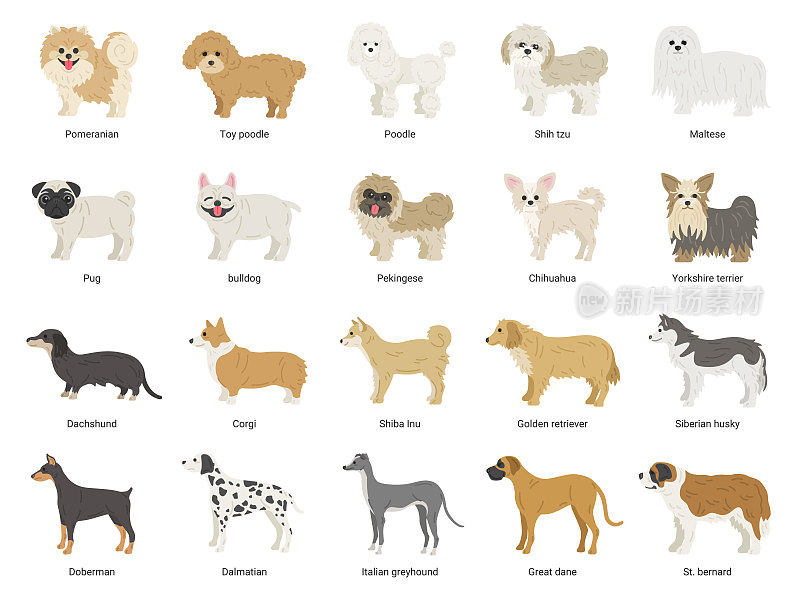 插图集多种狗。