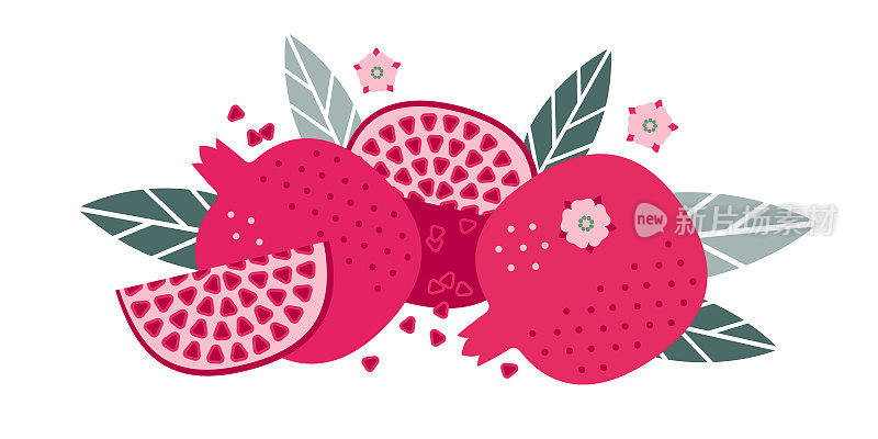 石榴果实。平坦的插图。水果、叶及花的整块及切块。