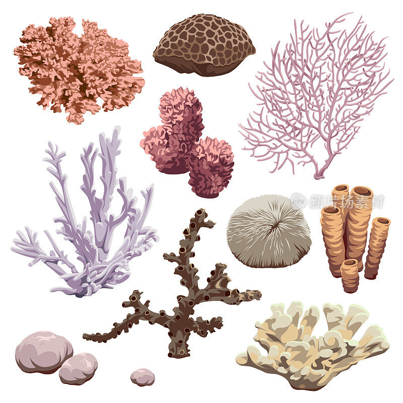 礁的图标集。珊瑚和海绵。矢量海底动物的海洋。