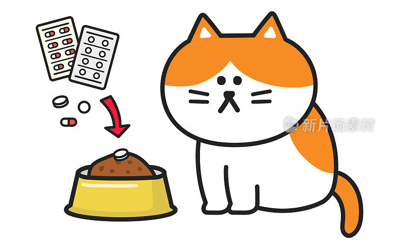 宠物主人把药物和猫粮混合在一起，试图治愈一只橙色的猫。