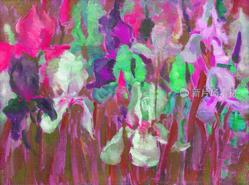 插图油画风景花鸢尾花盛开在花坛对树叶的背景