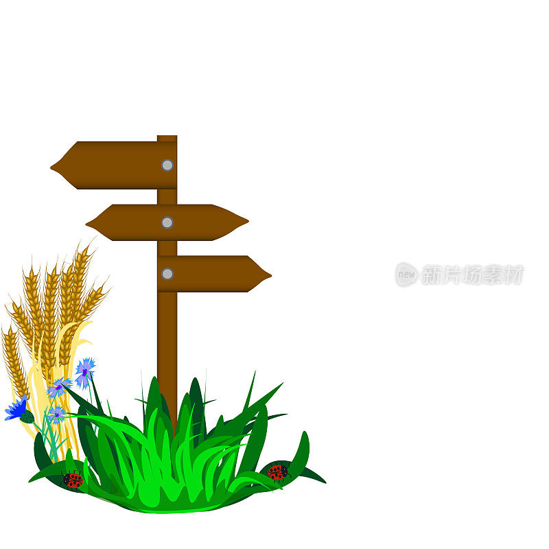 在白色的背景上，草，麦穗，矢车菊和一个木制的方向指示器。