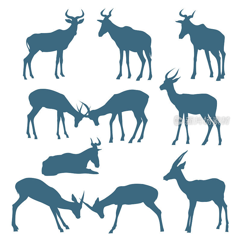 鹿的剪影。有蹄动物的集合。