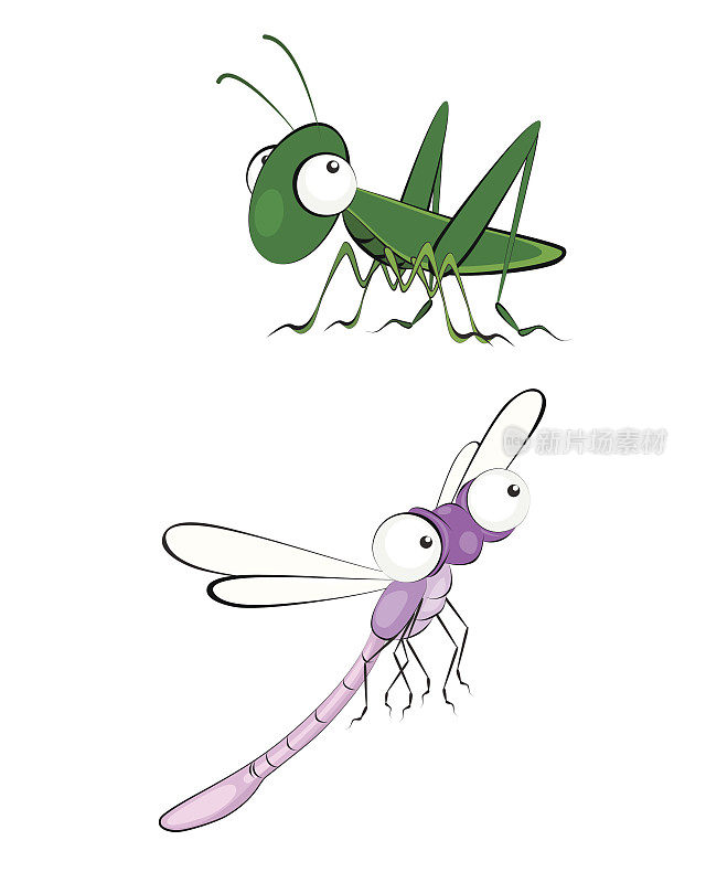 两只昆虫——蚱蜢和蜻蜓