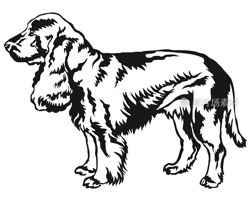 装饰站肖像的狗田野猎犬矢量插图
