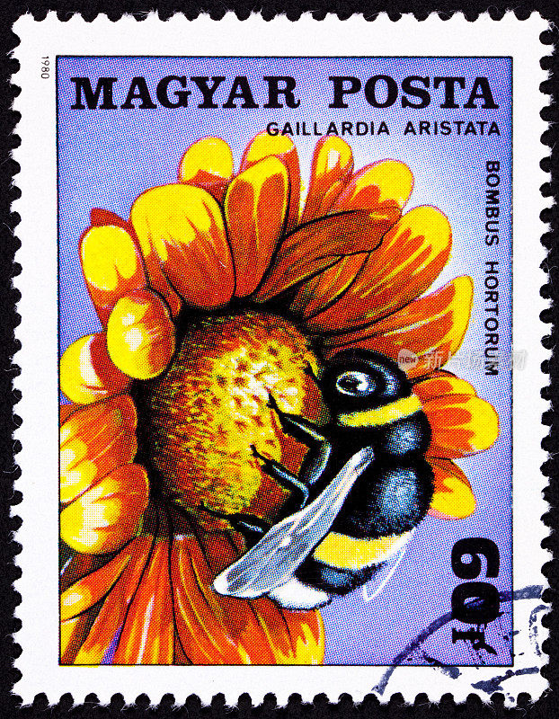 匈牙利邮票花园大黄蜂，熊蜂，大黄蜂，毯子花，大黄蜂