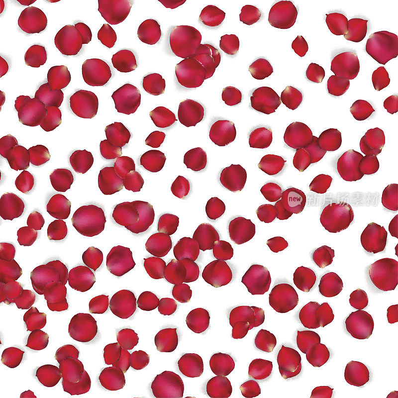 玫瑰花瓣的情人节卡片。每股收益10