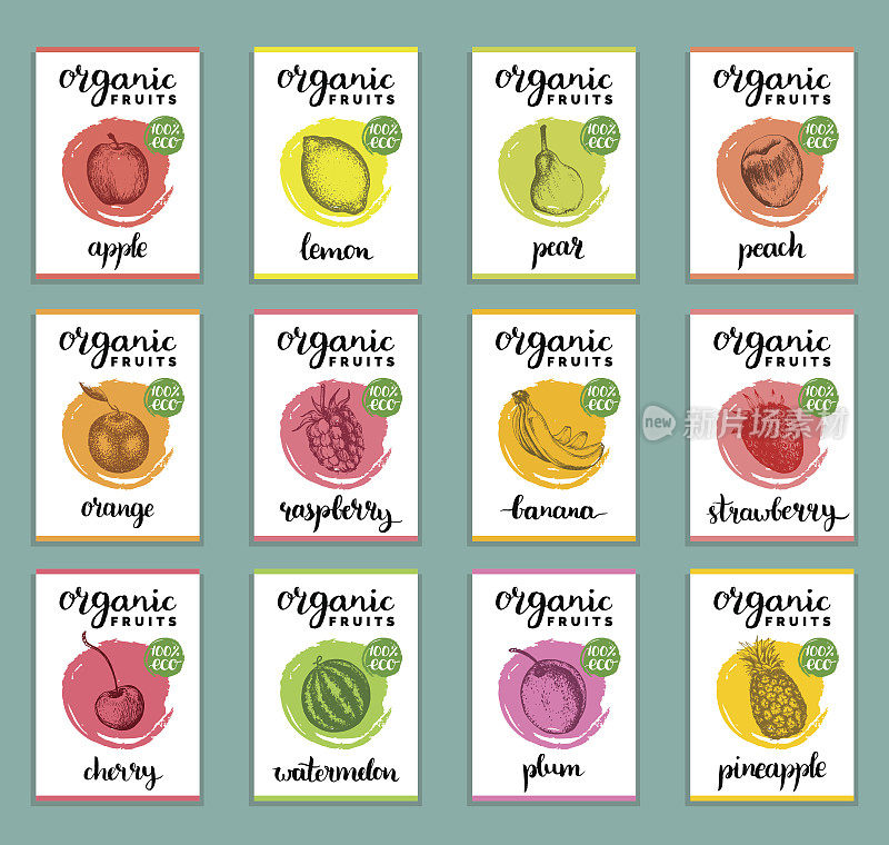 水果和浆果卡片。手绘健康食品、饮料标签。有机，生态餐牌:李子，柠檬，橙子，苹果，西瓜，桃子，草莓，猕猴桃，香蕉，梨，菠萝，葡萄。
