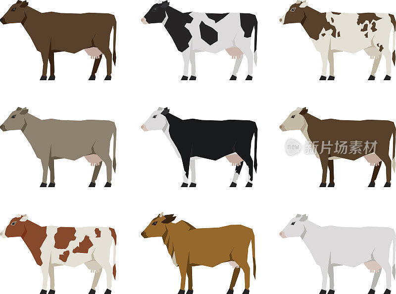 奶牛的平面图标。最受欢迎的牛。