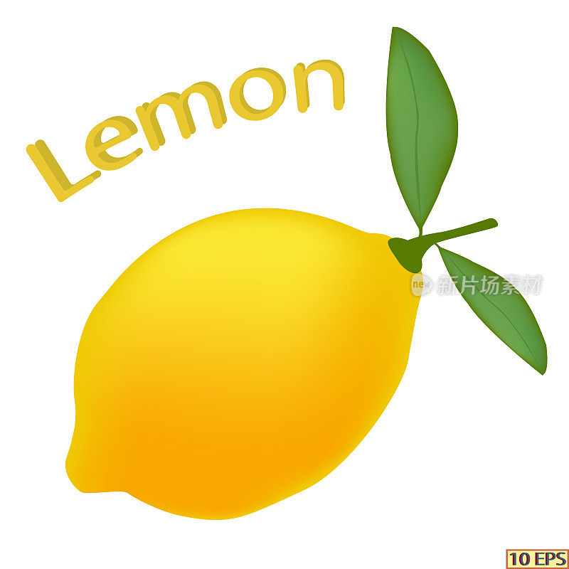 柠檬孤立在白色背景上。黄色水果柠檬特写。柠檬片。食品产品设计。向量。