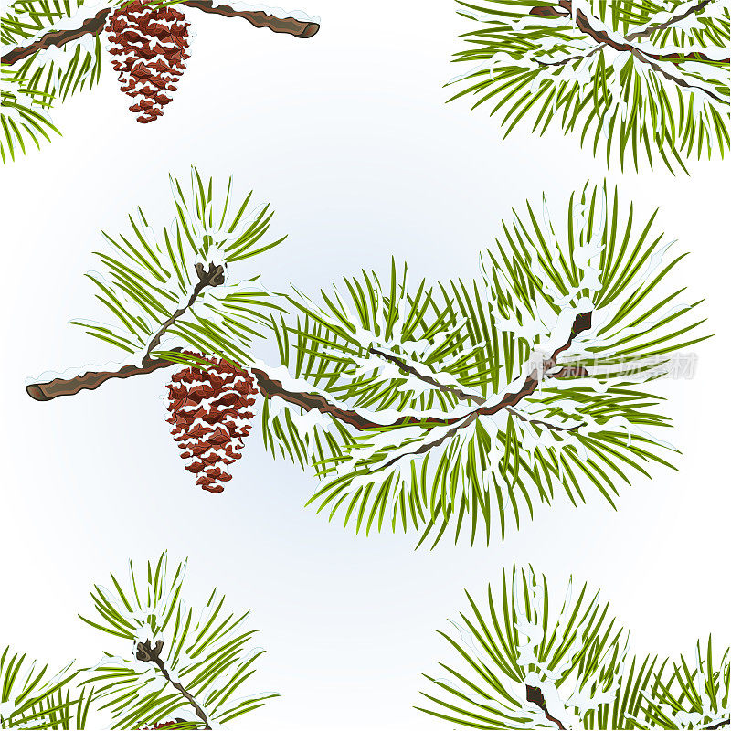 无缝纹理松树和松果枝冬季雪自然背景复古矢量插图可编辑