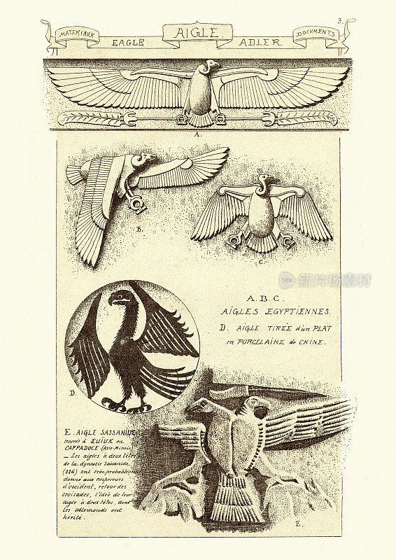 古代艺术中的鹰，古埃及，中国，萨珊