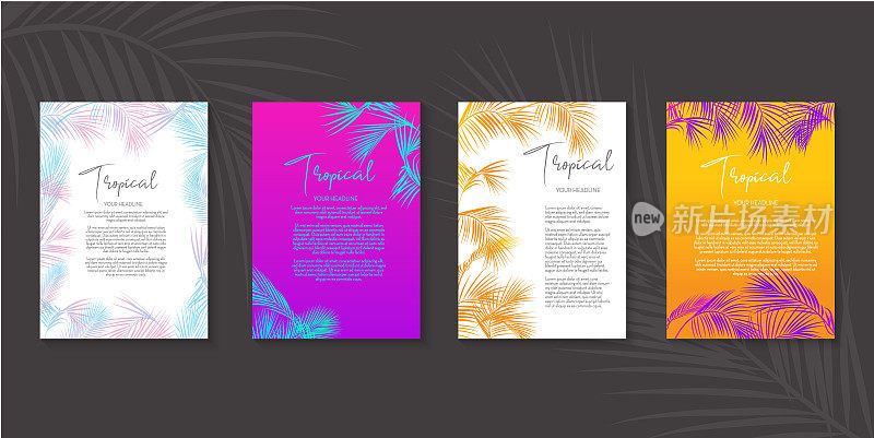 色彩鲜艳的热带设计模板与明亮的颜色和棕榈叶套四