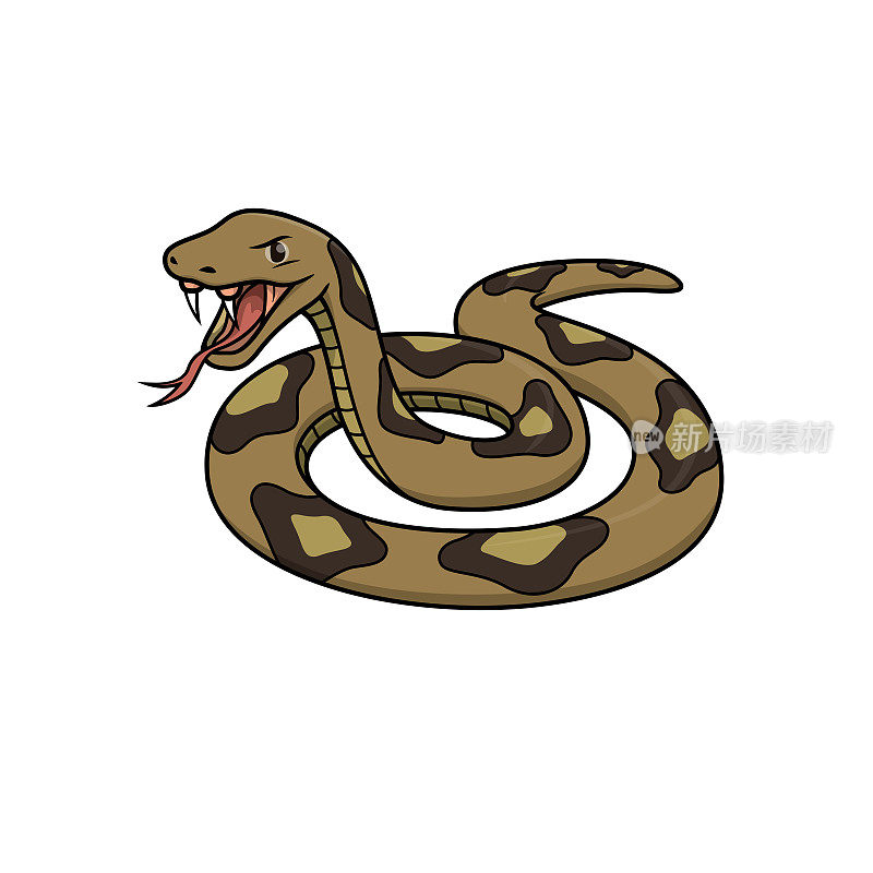 矢量插图的毒蛇孤立在白色背景。