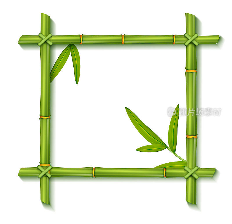 绿色竹叶框架