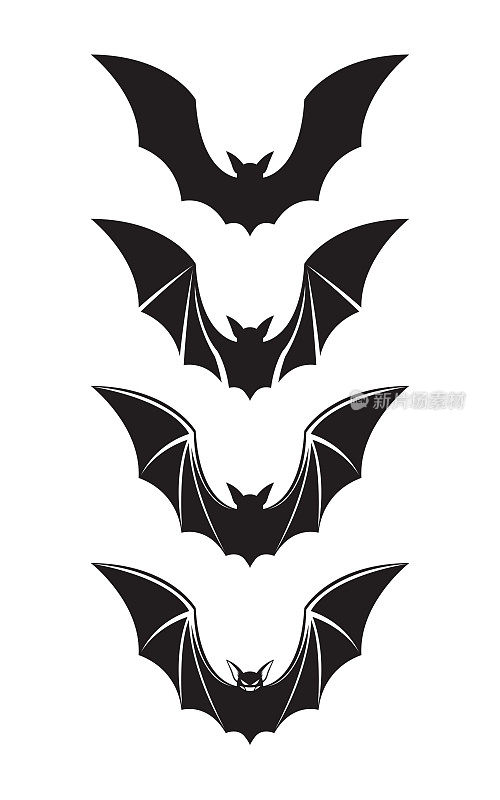 蝙蝠的剪影