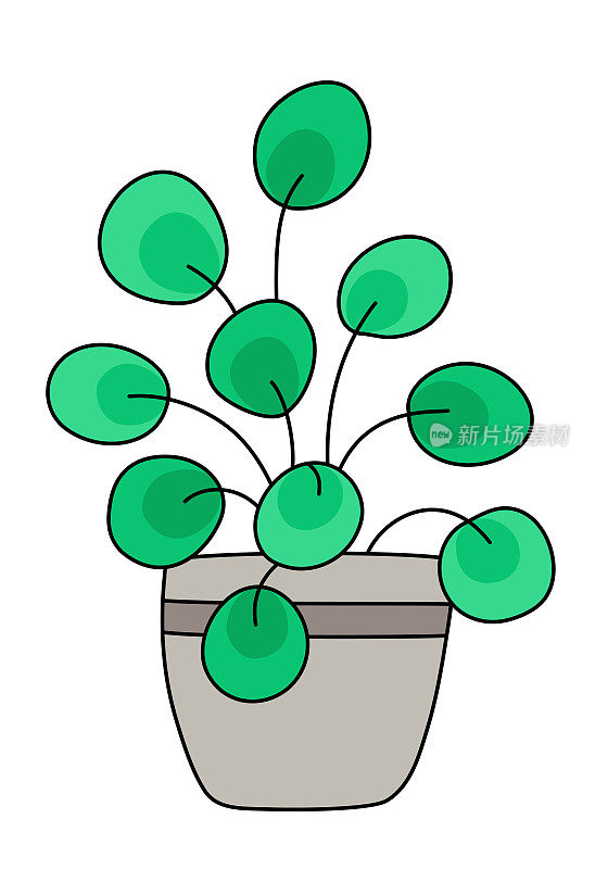 盆栽矢量室内植物。可爱的绿色植物带叶子，适合在家或办公室。手绘矢量插图平面卡通风格。孤立在白色背景。