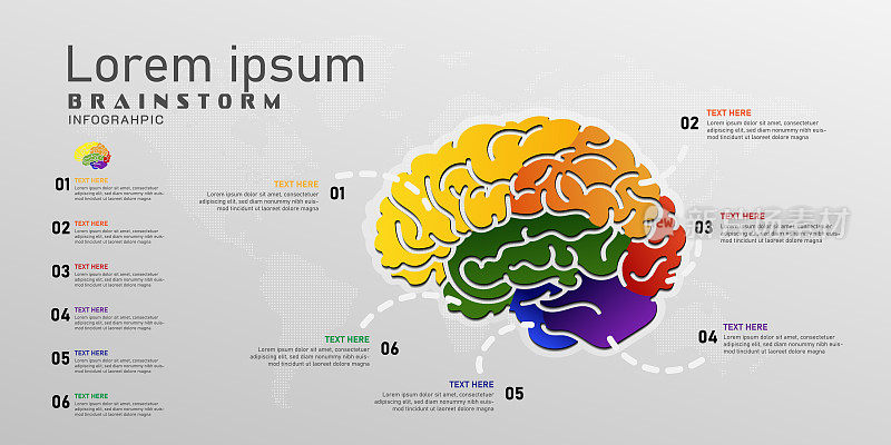 部分脑信息图用彩色主题信息矢量说明，头脑风暴和心智教育智能概念