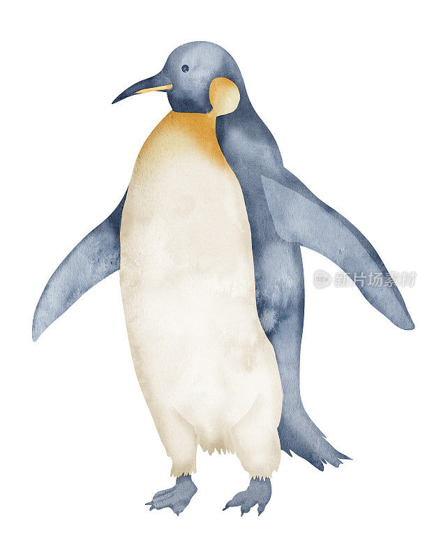 水彩帝企鹅。手绘插图孤立的白色背景。用柔和的颜色绘制南极动物。极地鸟的素描。为标志或图标素描。北的性格。
