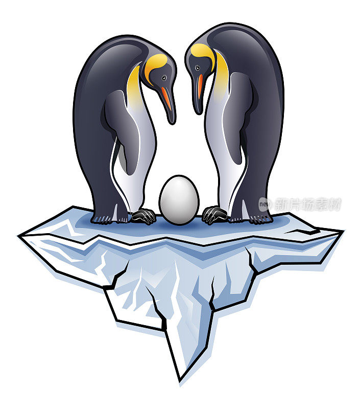 一对带着蛋站在冰山上的南极王企鹅