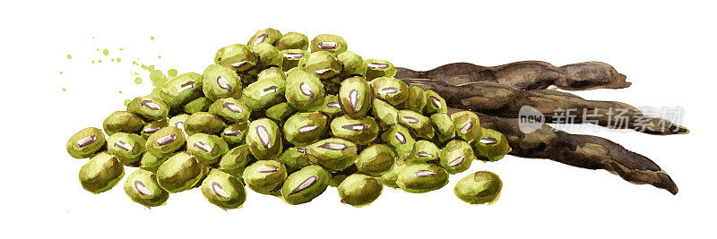 生绿豆和豆荚。手绘水彩插图，孤立的白色背景