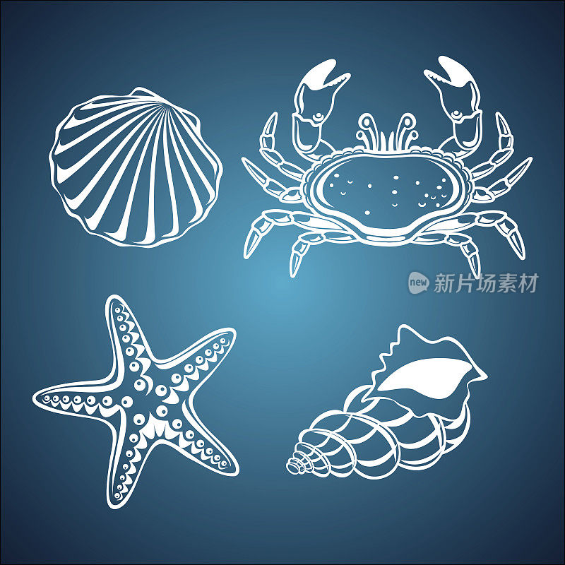 海洋生物