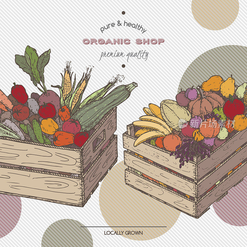 彩色有机商店模板与水果，蔬菜在木箱。