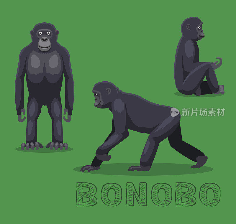 猿矮黑猩猩卡通矢量插图