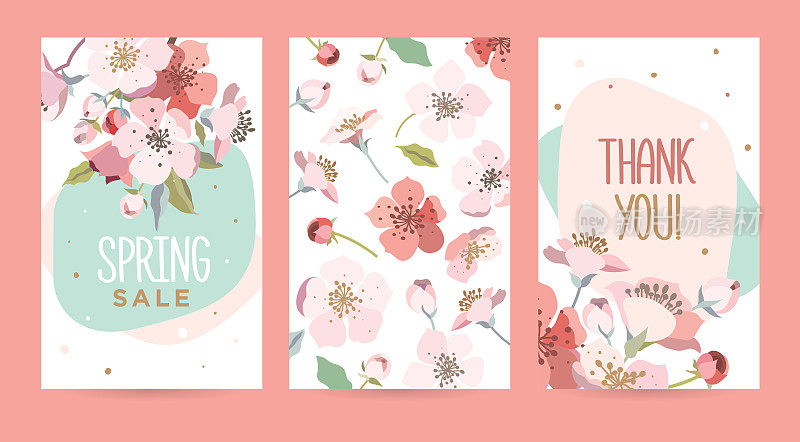 一套浪漫的樱花卡片。
